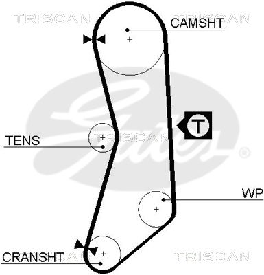 TRISCAN Vezérműszíj 86455030FI_TRIS