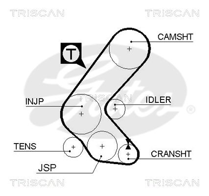 TRISCAN Vezérműszíj 86455193XS_TRIS