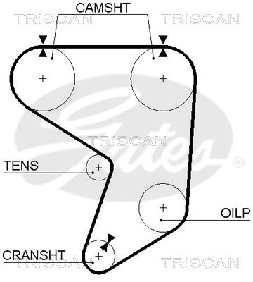 TRISCAN Vezérműszíj 86455195XS_TRIS