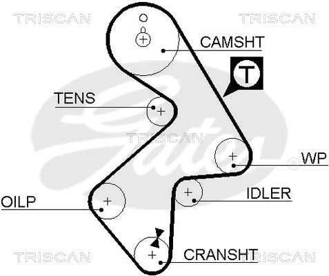 TRISCAN Vezérműszíj 86455202XS_TRIS