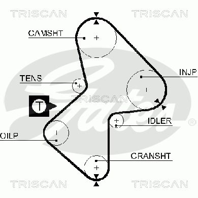 TRISCAN Vezérműszíj 86455212XS_TRIS