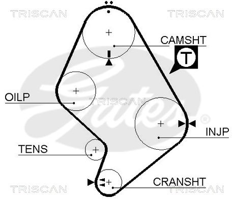 TRISCAN Vezérműszíj 86455214XS_TRIS