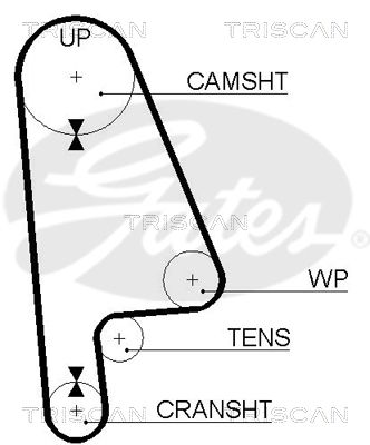 TRISCAN Vezérműszíj 86455233XS_TRIS