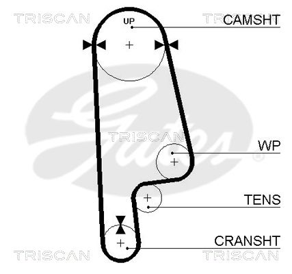 TRISCAN Vezérműszíj 86455234XS_TRIS