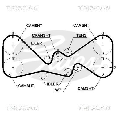 TRISCAN Vezérműszíj 86455384XS_TRIS