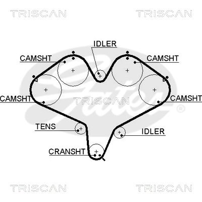 TRISCAN Vezérműszíj 86455387XS_TRIS