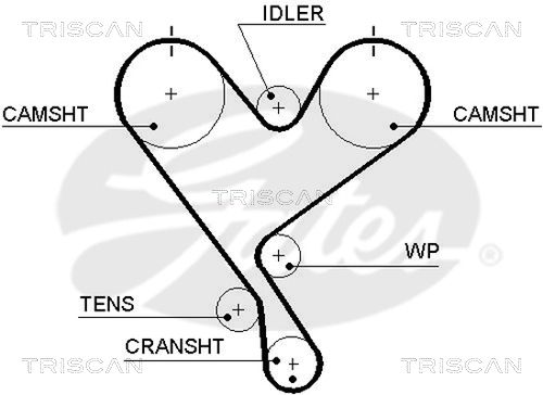 TRISCAN Vezérműszíj 86455402XS_TRIS