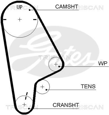 TRISCAN Vezérműszíj 86455410XS_TRIS