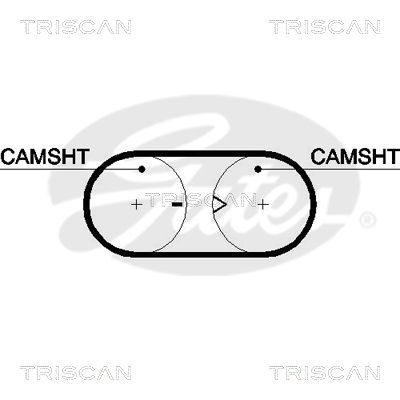 TRISCAN Vezérműszíj 86455417XS_TRIS