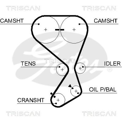 TRISCAN Vezérműszíj 86455556XS_TRIS