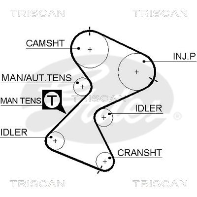 TRISCAN Vezérműszíj 86455561XS_TRIS