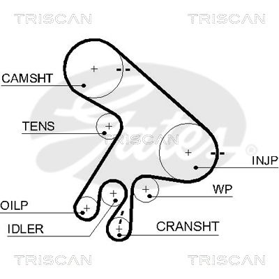 TRISCAN Vezérműszíj 86455562XS_TRIS