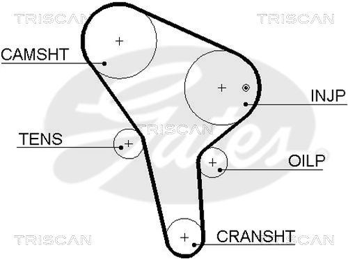 TRISCAN Vezérműszíj 86455564XS_TRIS