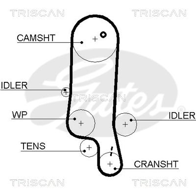 TRISCAN Vezérműszíj 86455565XS_TRIS