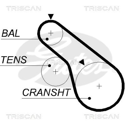 TRISCAN Vezérműszíj 86455570XS_TRIS