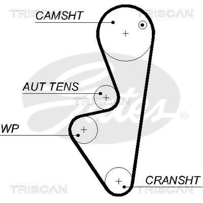 TRISCAN Vezérműszíj 86455574XS_TRIS