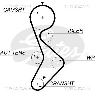 TRISCAN Vezérműszíj 86455579XS_TRIS