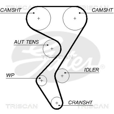 TRISCAN Vezérműszíj 86455581XS_TRIS