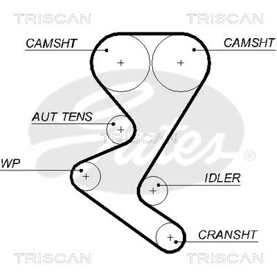 TRISCAN Vezérműszíj 86455582XS_TRIS