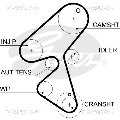 TRISCAN Vezérműszíj 86455589XS_TRIS