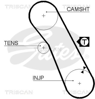 TRISCAN Vezérműszíj 86455055XS_TRIS