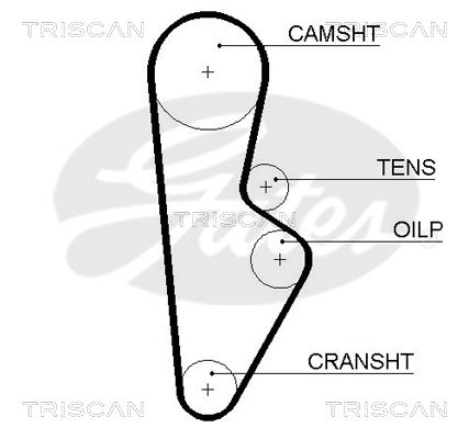 TRISCAN Vezérműszíj 86455082XS_TRIS