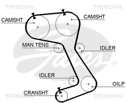 TRISCAN Vezérműszíj 86455242XS_TRIS