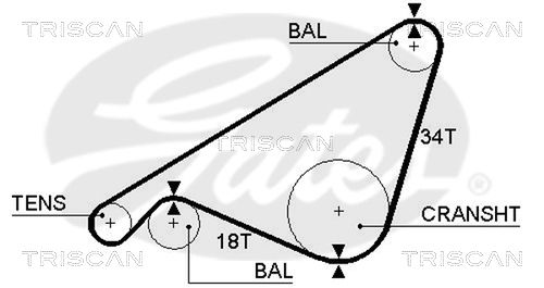 TRISCAN Vezérműszíj 86455243XS_TRIS