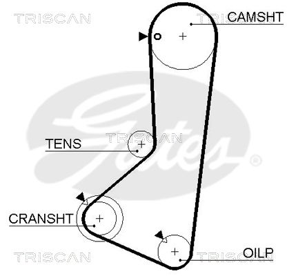 TRISCAN Vezérműszíj 86455254XS_TRIS