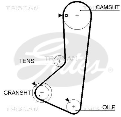 TRISCAN Vezérműszíj 86455256XS_TRIS