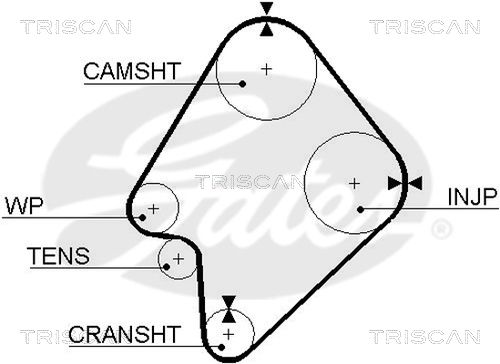 TRISCAN Vezérműszíj 86455300XS_TRIS