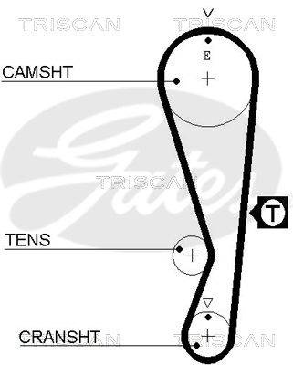 TRISCAN Vezérműszíj 86455318XS_TRIS