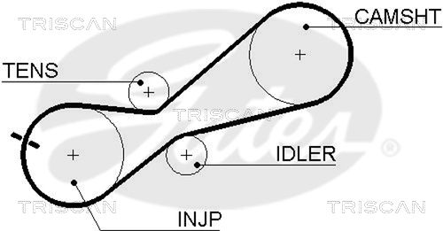 TRISCAN Vezérműszíj 86455345XS_TRIS