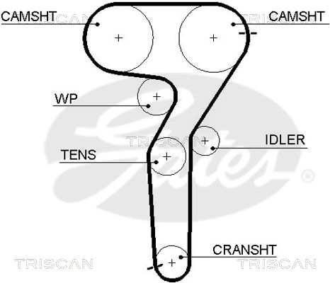 TRISCAN Vezérműszíj 86455423XS_TRIS