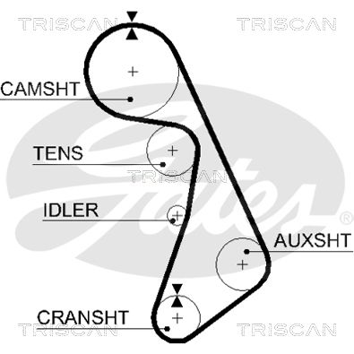 TRISCAN Vezérműszíj 86455425XS_TRIS