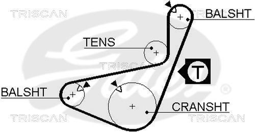 TRISCAN Vezérműszíj 86455436XS_TRIS