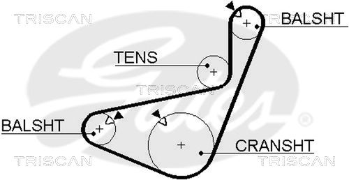 TRISCAN Vezérműszíj 86455456XS_TRIS