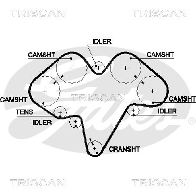 TRISCAN Vezérműszíj 86455476XS_TRIS