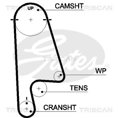 TRISCAN Vezérműszíj 86455480XS_TRIS