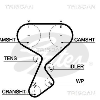 TRISCAN Vezérműszíj 86455487XS_TRIS