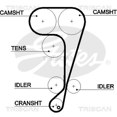 TRISCAN Vezérműszíj 86455508XS_TRIS