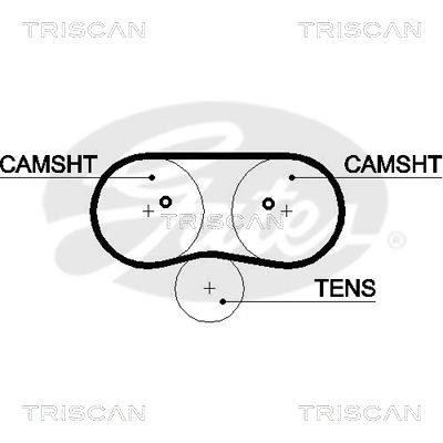 TRISCAN Vezérműszíj 86455516XS_TRIS