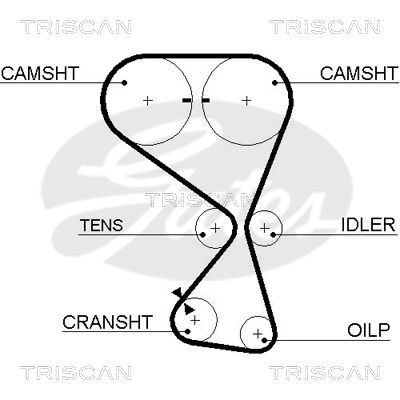 TRISCAN Vezérműszíj 86455534XS_TRIS