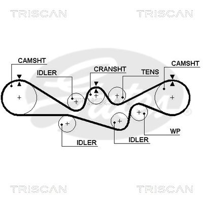 TRISCAN Vezérműszíj 86455537XS_TRIS