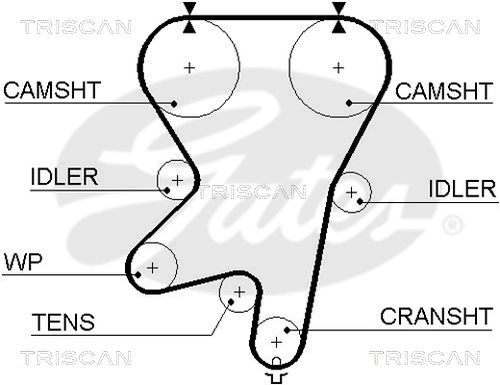 TRISCAN Vezérműszíj 86455542XS_TRIS