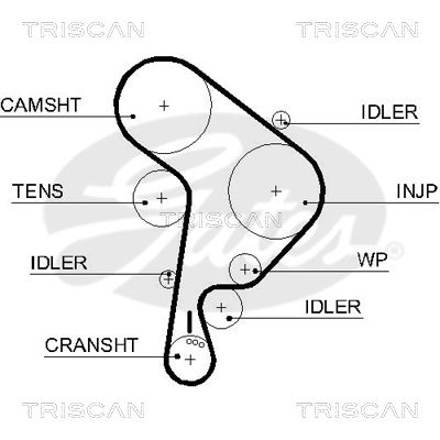 TRISCAN Vezérműszíj 86455543XS_TRIS