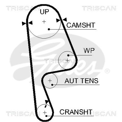 TRISCAN Vezérműszíj 86455593XS_TRIS