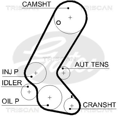 TRISCAN Vezérműszíj 86455595XS_TRIS