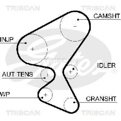 TRISCAN Vezérműszíj 86455598XS_TRIS