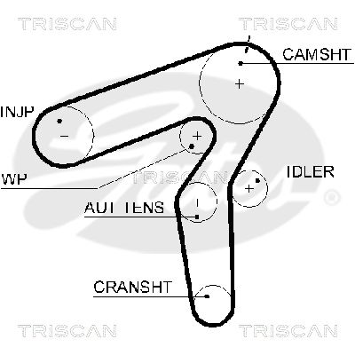 TRISCAN Vezérműszíj 86455600XS_TRIS